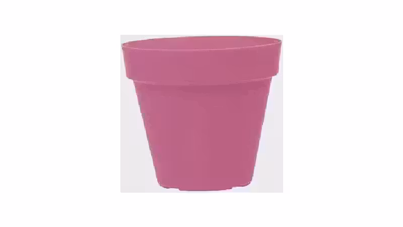 Melhor Vaso para Plantar Rosa do deserto: Guia Essencial
