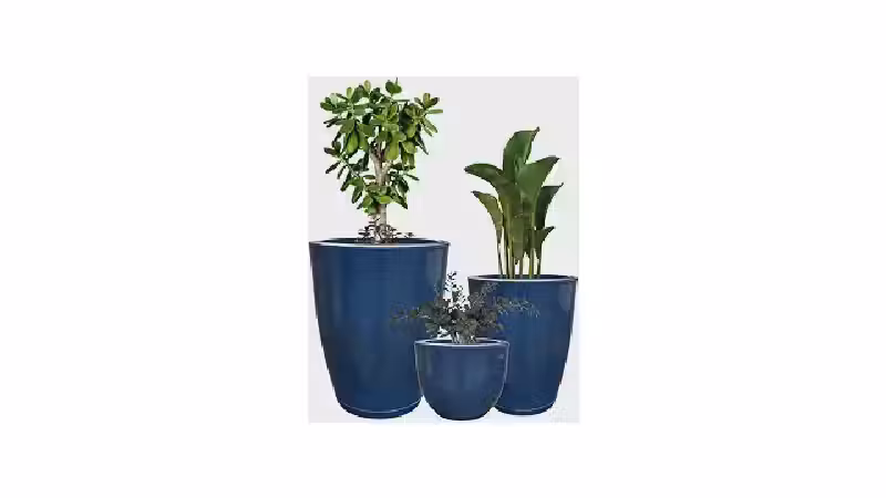 Melhor Vaso para Plantas: 5 Opções Duráveis e Elegantes