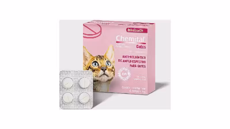 Melhor Vermífugo para Gato: Proteção Completa e Eficaz