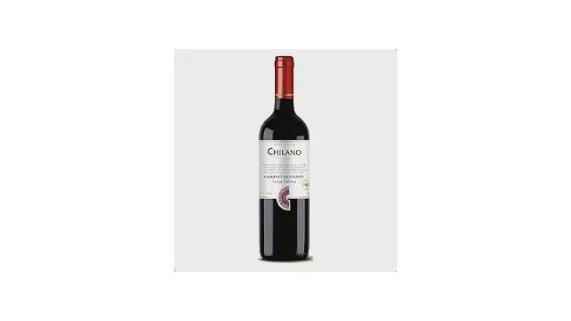 Melhor Vinho Barato: Guia Essencial de Degustação