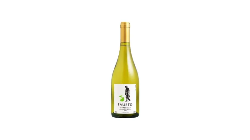 Melhor Vinho Brasileiro do Mundo: Guia de Degustação