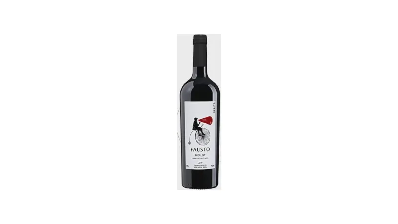 Melhor Vinho Brasileiro: Descubra Sabores Únicos