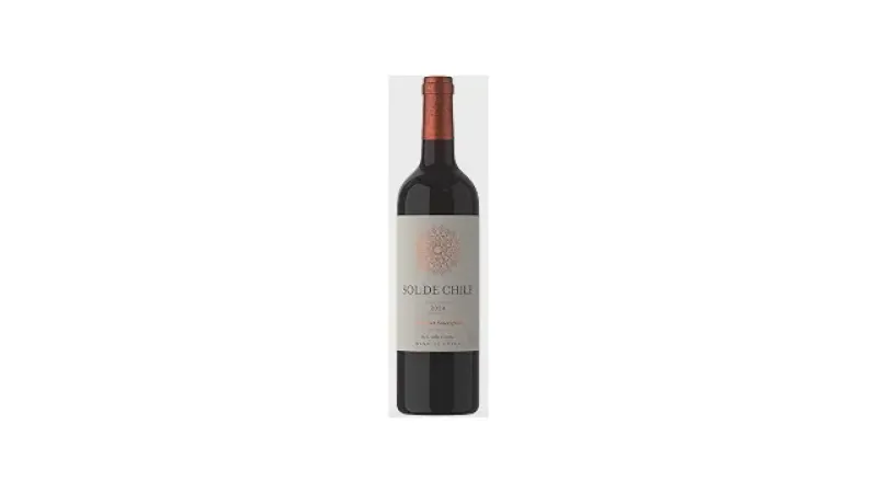 Melhor Vinho Chileno Suave: 5 Opções Deliciosas e Acessíveis