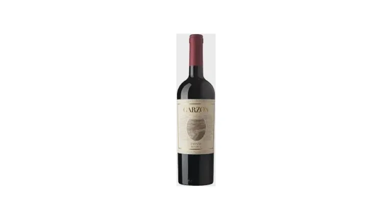 Melhor Vinho de Uva Tannat: Guia de Sabores e Aromas
