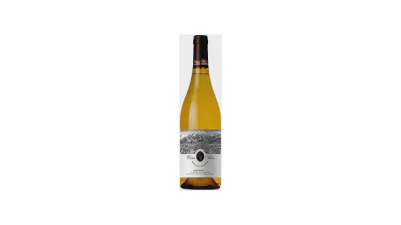 Melhor Vinho do Mundo: Guia Essencial dos Sabores Globais