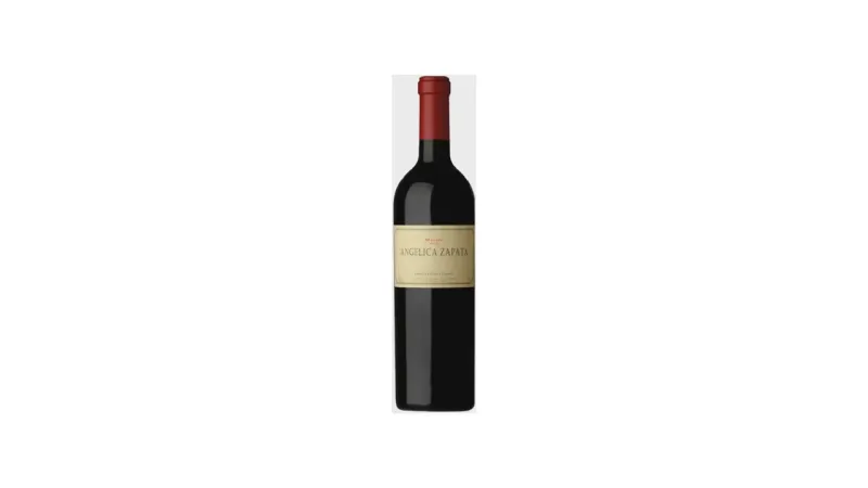 Melhor Vinho Malbec do Mundo: 5 Opções Premium