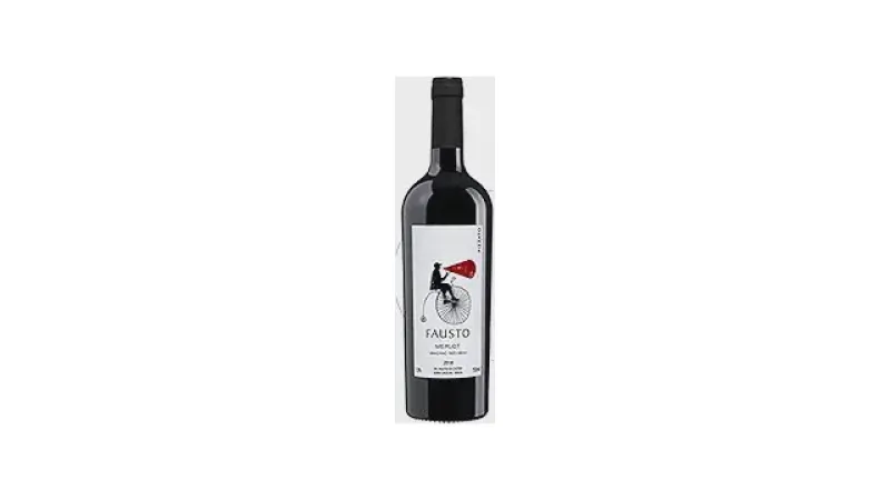 Melhor Vinho Merlot Brasileiro: Guia de Degustação e Harmonização