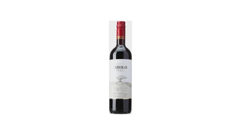Melhor Vinho Merlot ou Cabernet: Guia de Sabores e Harmonizações