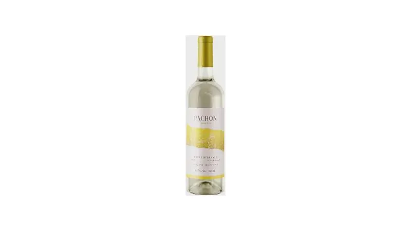 Melhor Vinho Moscatel do Mundo: Delícias Aromatizadas