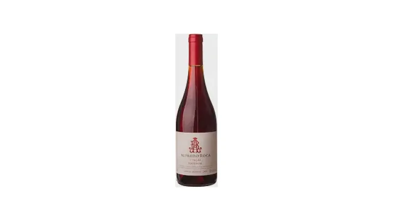 Melhor Vinho Pinot Noir Argentino: 9 Joias da Argentina