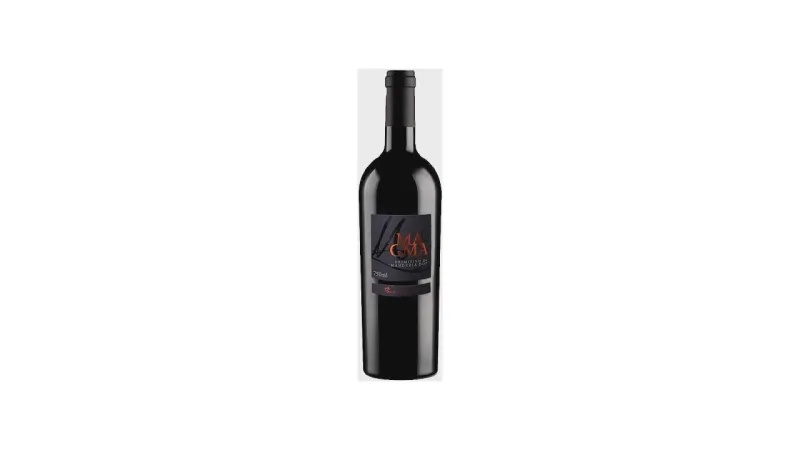 Melhor Vinho Seco Italiano: Guia Essencial