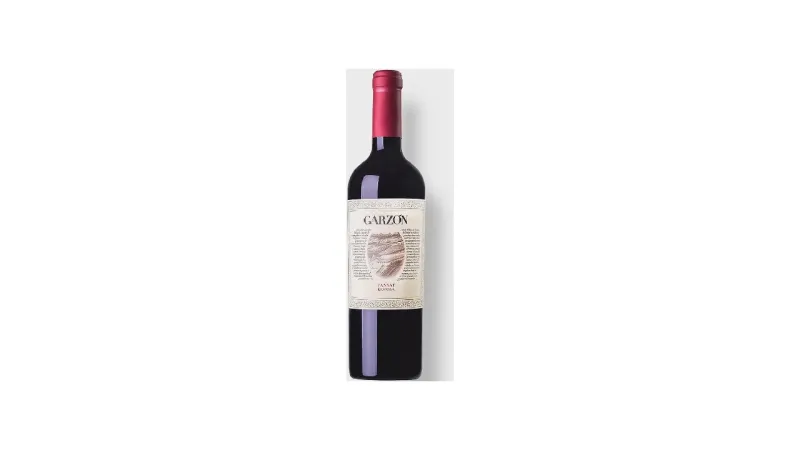 Melhor Vinho Tannat do Uruguai: Descubra Sabores Intensos!