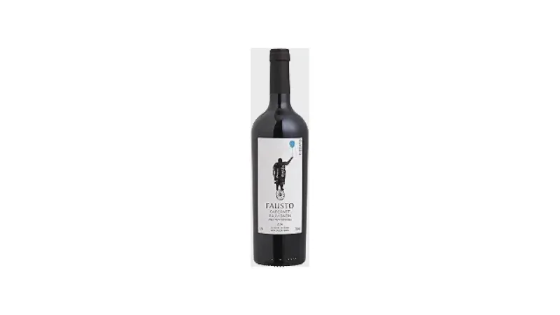 Melhor Vinho Tinto do Brasil: 5 Opções Premium