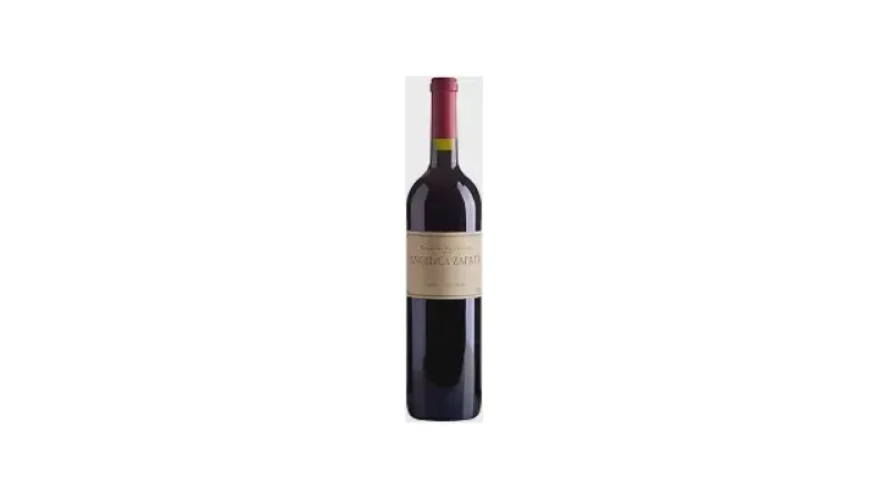 Melhor Vinho Tinto Seco Argentino: Descubra Sabores Únicos