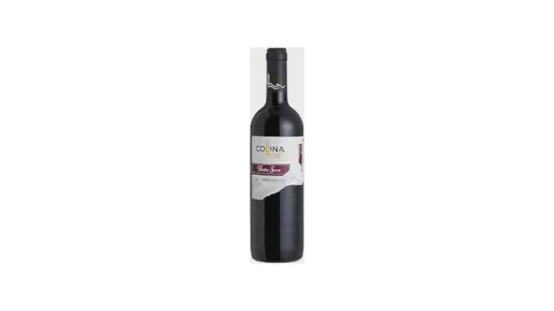 Melhor Vinho Tinto Seco Nacional: Sabores Brasileiros
