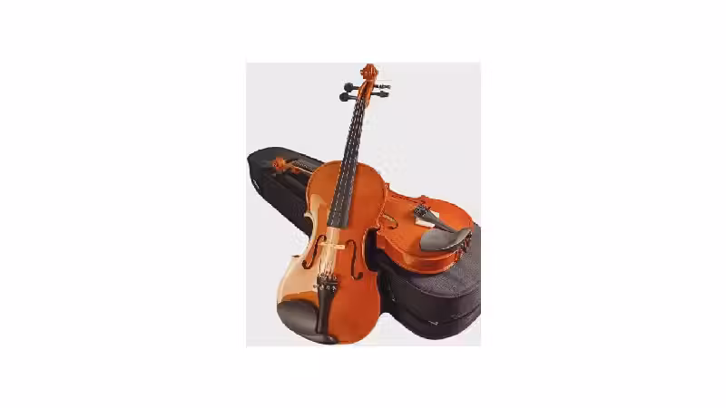 Melhor Violino Barato e Bom: 10 Modelos de Entrada