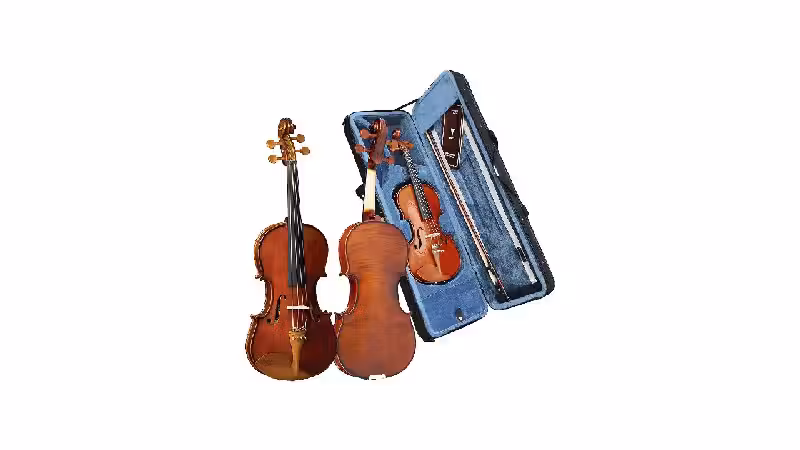 Melhor Violino: 10 Modelos para Iniciantes