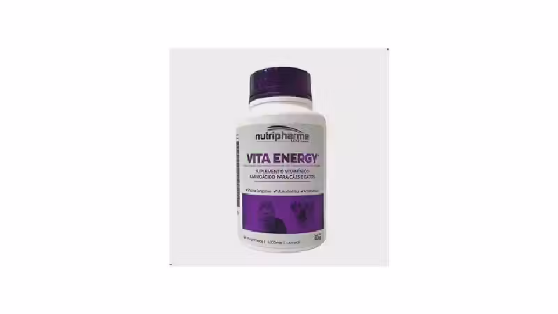 Melhor Vitamina para Cachorro Desnutrido: Guia Essencial
