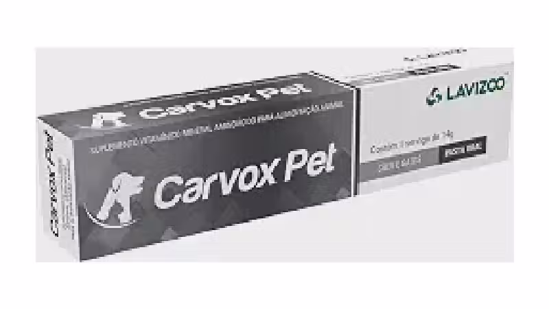 Melhor Vitamina para Cachorro Fraco: Energia e Vitalidade