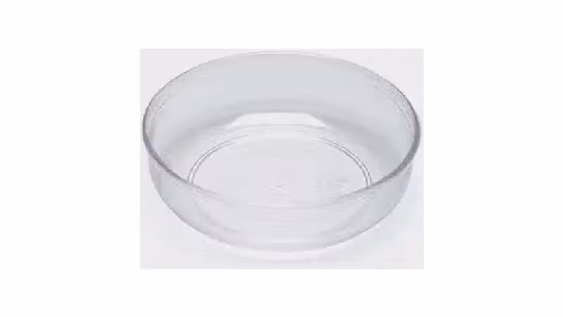 Qual a Melhor Banheira para Pássaro? Do Jardim à Gaiola