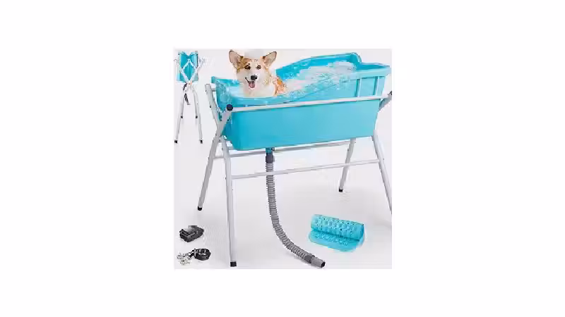 Qual a Melhor Banheira para Pet Shop? 6 Opções PRO