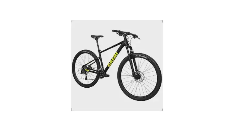 Qual a Melhor Bicicleta Caloi: Guia por Aro e Uso