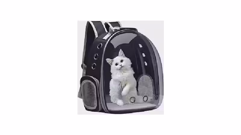 Qual a melhor bolsa de transporte para gato e cachorro?
