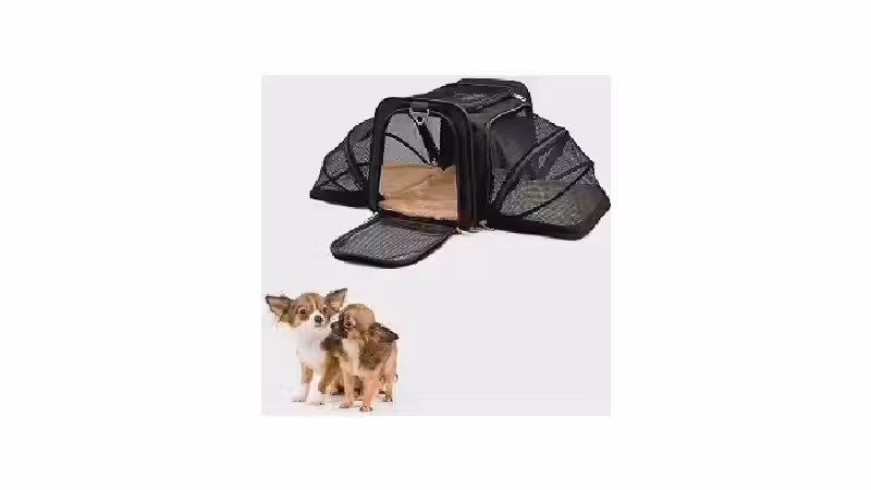 Qual a Melhor Bolsa de Transporte para Pet em Avião? Análise de 10 Modelos
