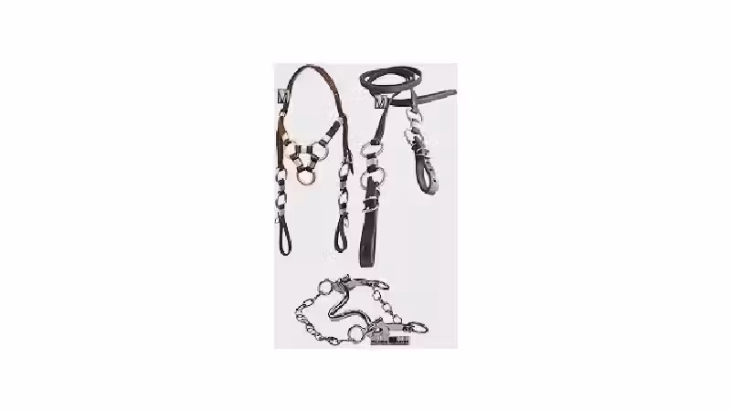 Qual a melhor cabeçada para cavalo? Guia de Modelos