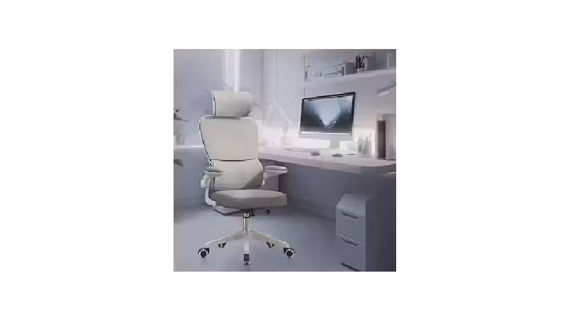 Qual a Melhor Cadeira para Home Office Ergonômica?
