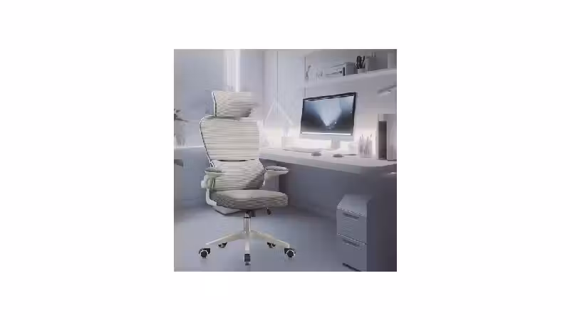 Qual a Melhor Cadeira para Quem Tem Problema de Coluna? 8 Modelos Ergonômicos
