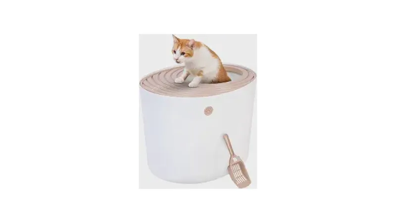 Qual a Melhor Caixa de Areia com Entrada Superior para Gatos? O Guia Definitivo para Manter a Casa Limpa