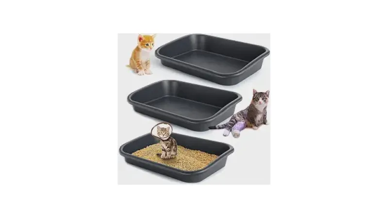 Qual a Melhor Caixa de Areia para Gatos Idosos com Entrada Baixa: 10 Opções de Acesso Fácil