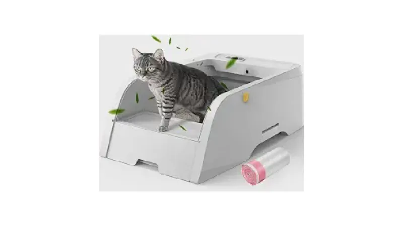 Qual a Melhor Caixa de Areia para Gatos que Não Espalha Odor?