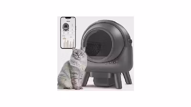 Qual a Melhor Caixa de Areia para Gatos: Aberta, Fechada ou Autolimpante?