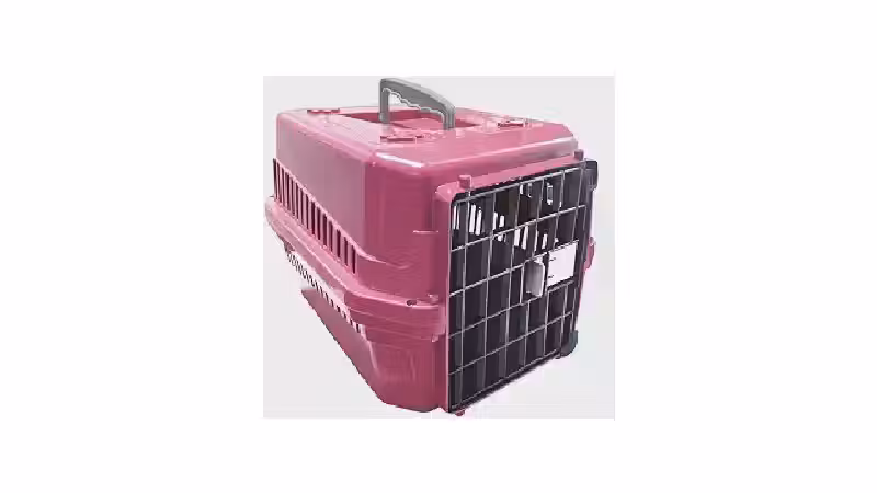 Qual a Melhor Caixa de Transporte para Gatos (Tamanho)? Guia por Peso