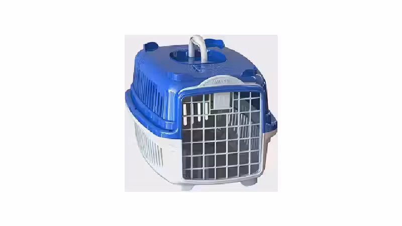 Qual a Melhor Caixa de Transporte para Gatos por Tipo