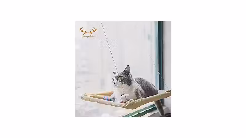 Qual a Melhor Cama de Janela para Gatos? 10 Modelos