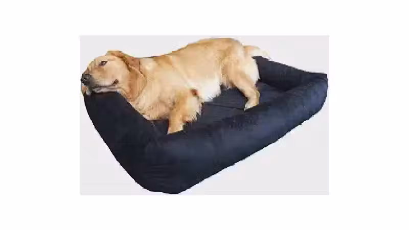 Qual a melhor cama para cachorro? Guia de modelos