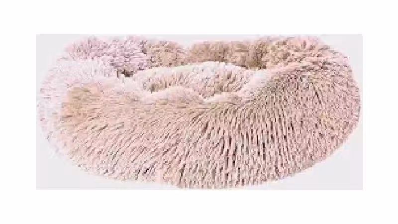 Qual a Melhor Cama para Gato: Guia de 9 Modelos