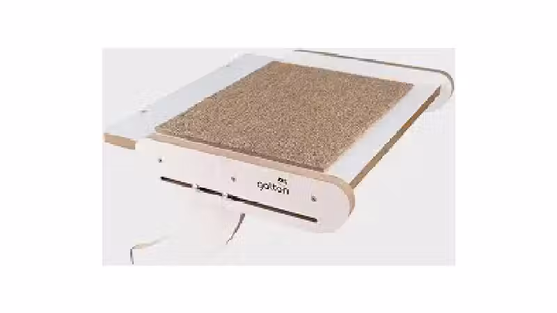 Qual a melhor cama para gatos que pode ser pendurada na janela? Guia