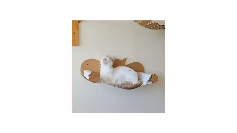 Qual a Melhor Cama para Gatos que Pode Ser Pendurada na Parede? Análise