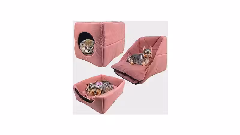 Qual a melhor cama para gatos? Do Iglu à Rede
