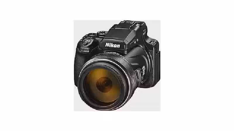 Qual a Melhor Câmera com Superzoom para Fotografar Pássaros? Análise