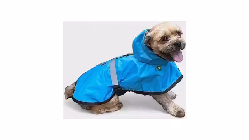 Qual a Melhor Capa de Chuva para Cachorro? 10 Opções