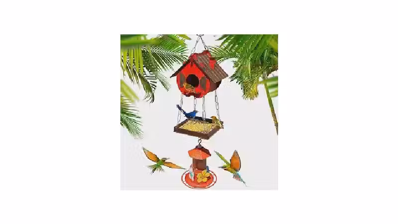 Qual a melhor casa de passarinho? Guia c/ 10 tipos