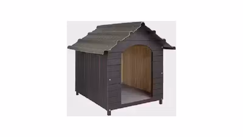 Qual a Melhor Casa para Cachorro? Plástico vs Madeira