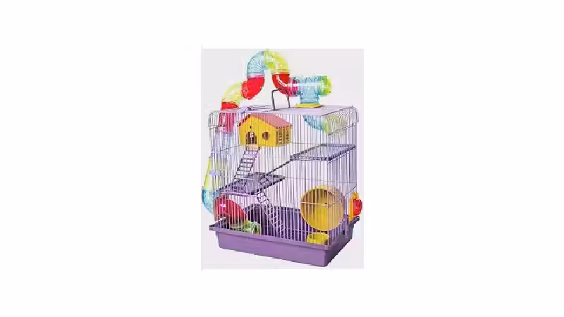 Qual a Melhor Casinha para Hamster? Guia de Espaço
