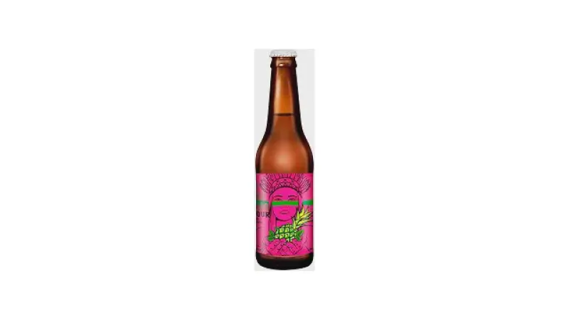 Qual a Melhor Cerveja Sour: Com ou Sem Álcool?