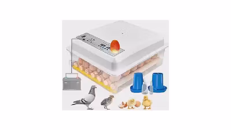 Qual a melhor chocadeira automática? Guia com 9 modelos